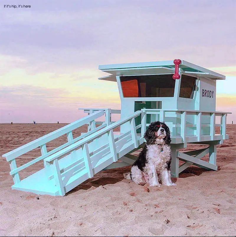 Lifeguard Stand Dog House