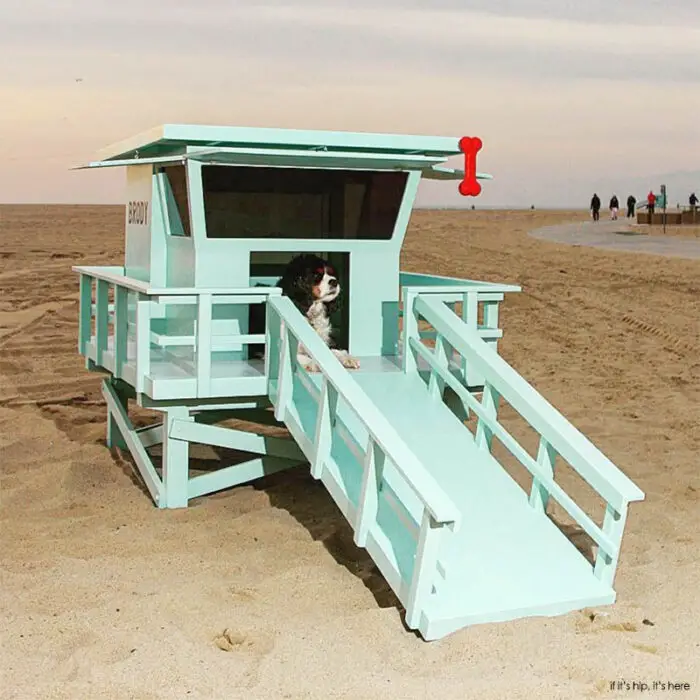 Read more about the article The Lifeguard Stand Dog House by Charles Lushear