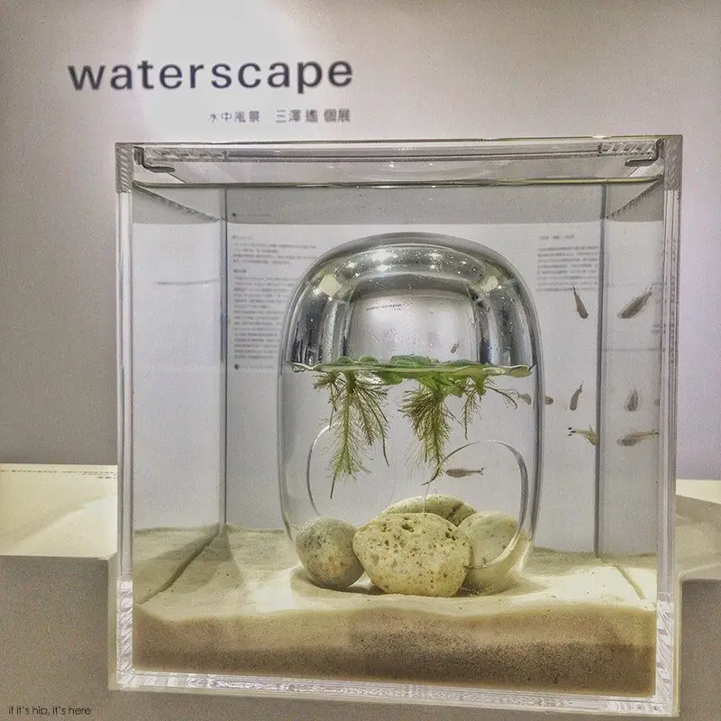 Waterscape Aquarium Exhibit