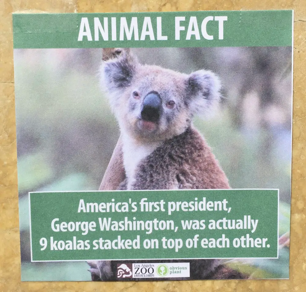 Fake Animal Facts At The LA Zoo