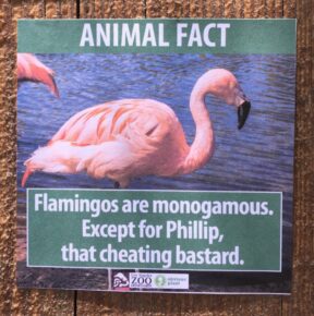 Obvious Plant Strikes Again! Fake Animal Facts at The LA Zoo