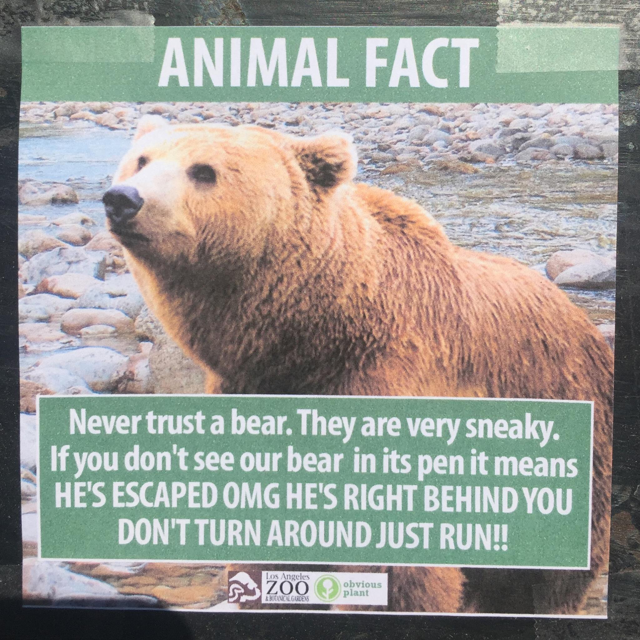 Fake Animal Facts At The LA Zoo