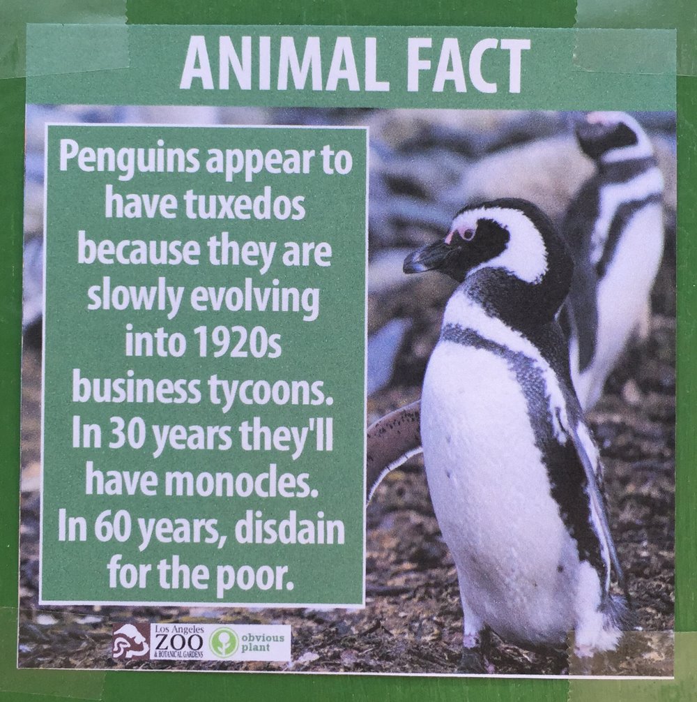 Fake Animal Facts At The LA Zoo