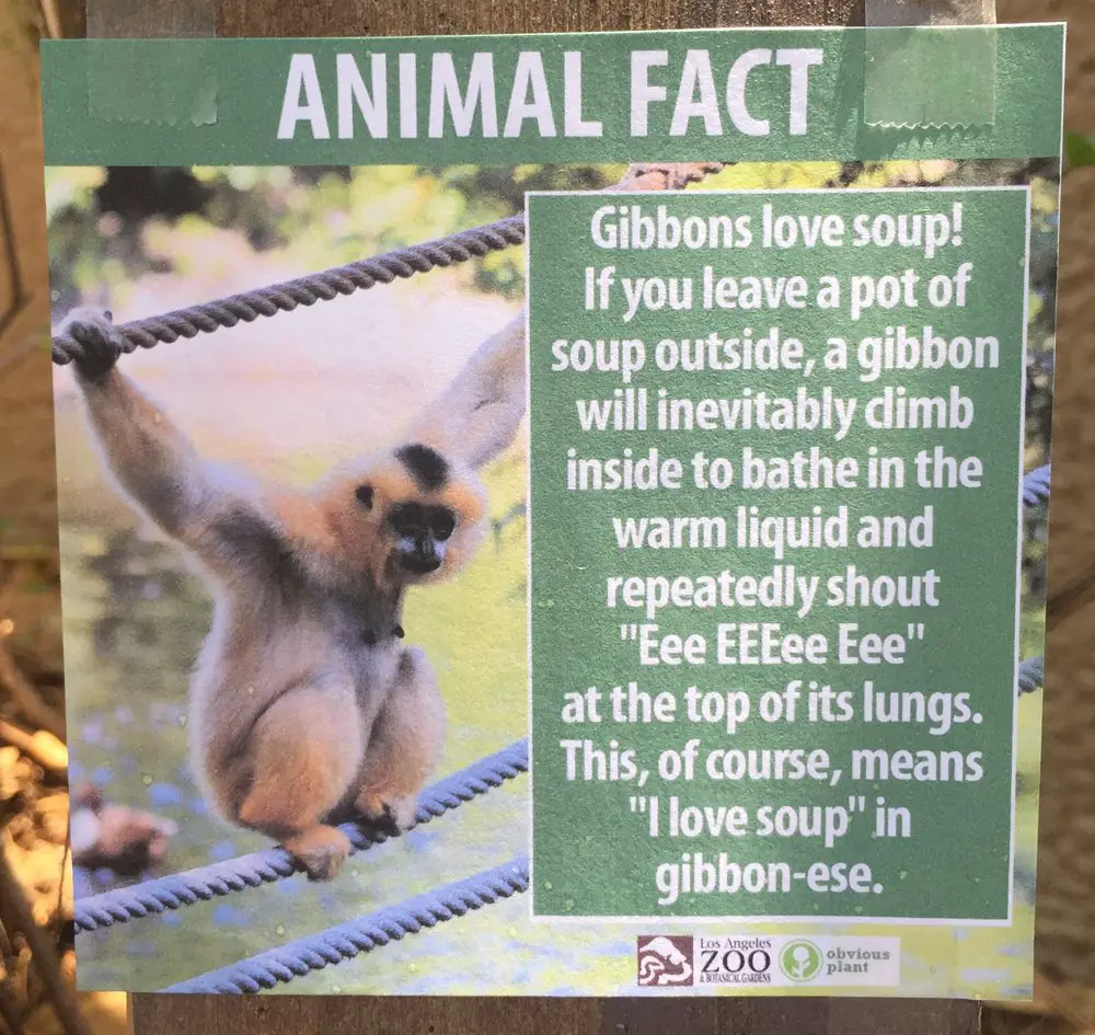 obvious plant fake animal facts