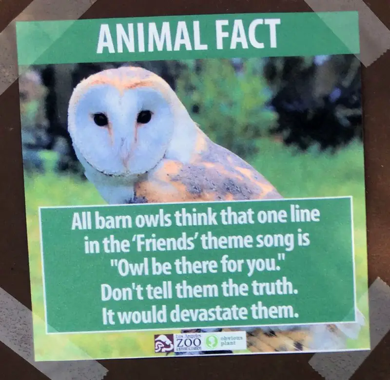 la zoo fake animal facts