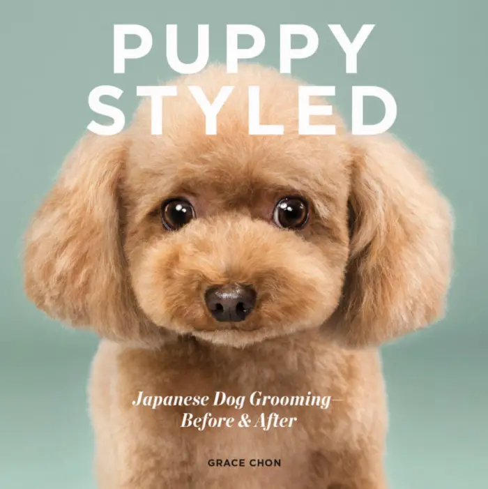 puppy styled by grace chon