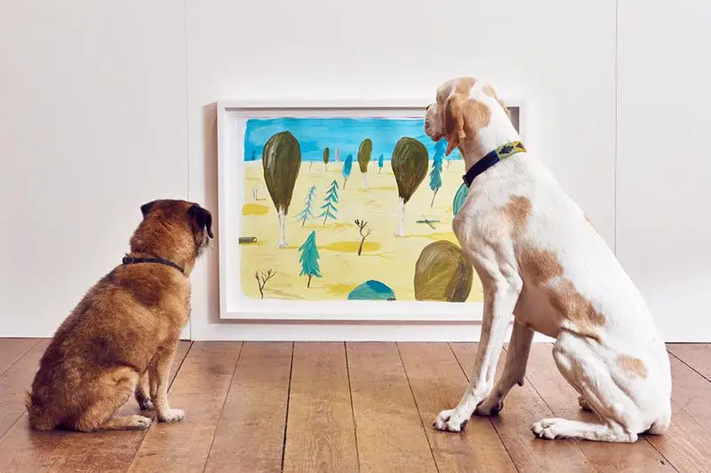 interactive art exhibit for dogs