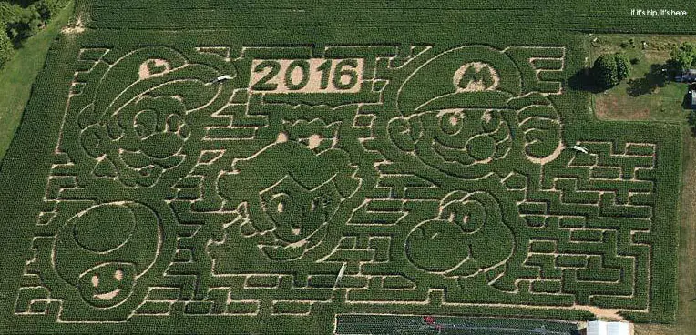 2016- Mario Bros maize