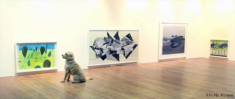art exhibit for dogs