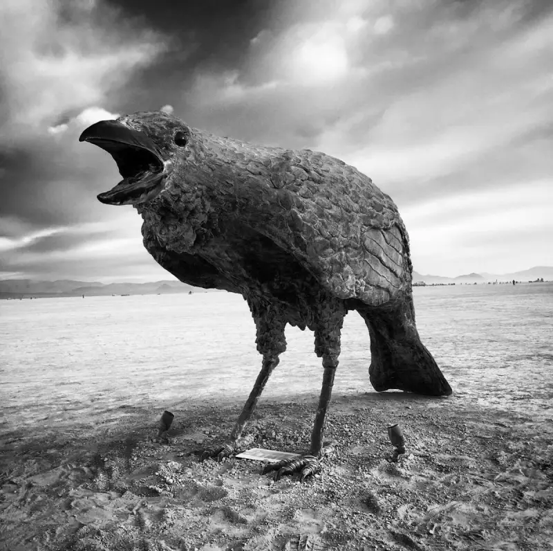 Murder Crow sculptures by Jack Champion
