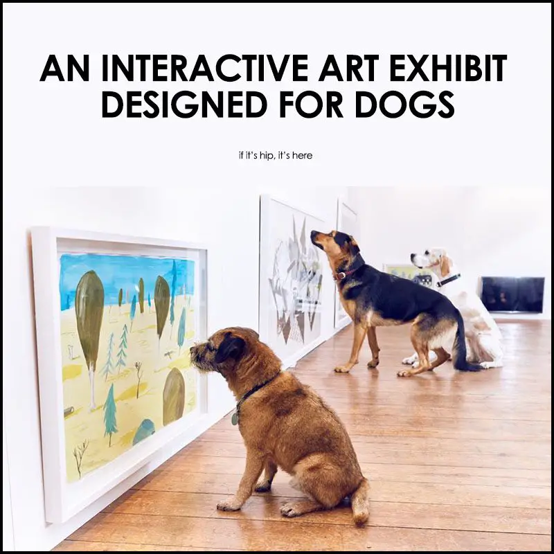 interactive art exhibit for dogs