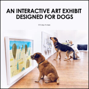 An Interactive Art Exhibit For Dogs Promotes Pet Health.