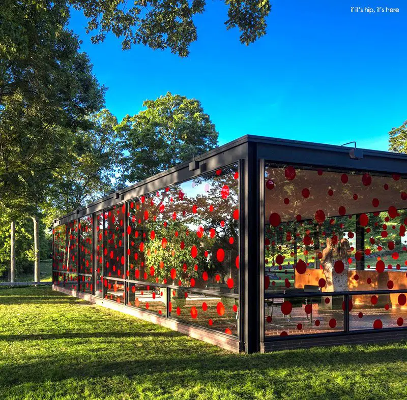 the glass house and yayoi kusama