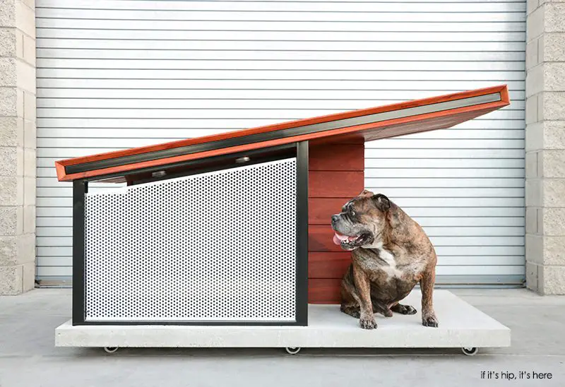 modern dog house