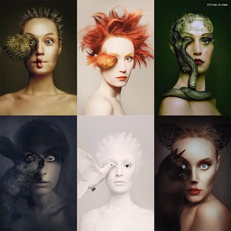 Flora Borsi's Animeyed series