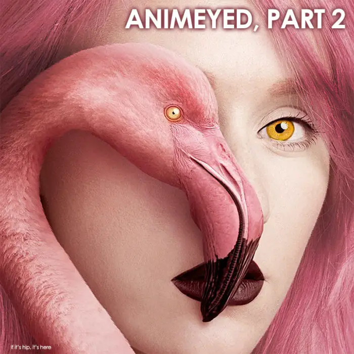 Read more about the article Flora Borsi Animeyed Part 2