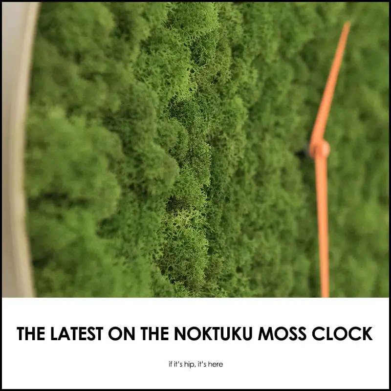 Noktuku Moss Clock