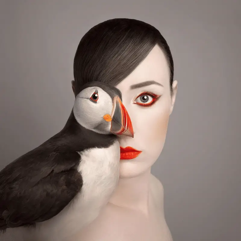 little puffin Flora Borsi