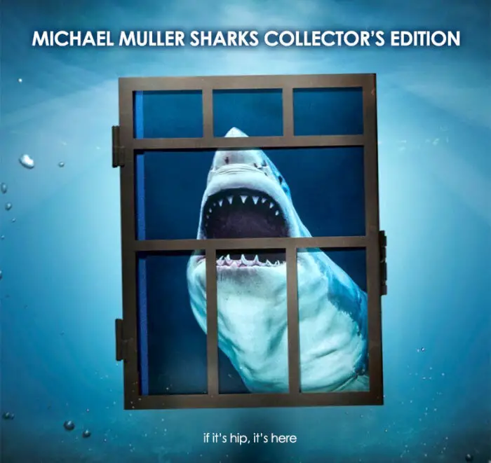 Read more about the article A Big Beautiful Book of Sharks. In A Shark Cage.