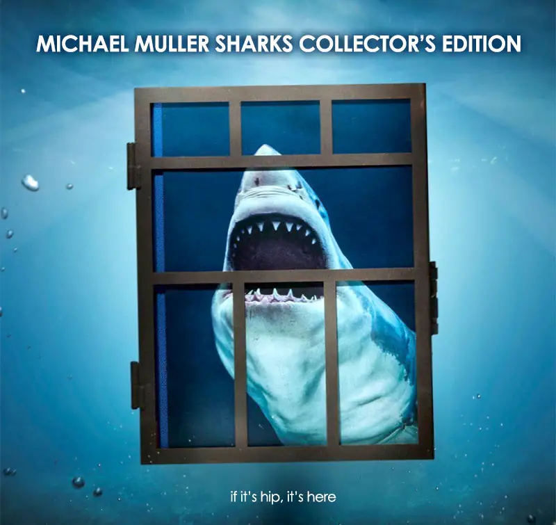 Michael Muller's Sharks