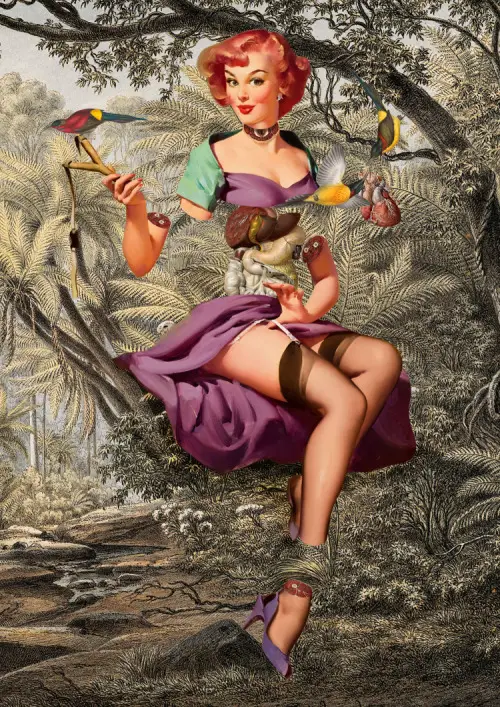 PinUp Anatomical Art Collages