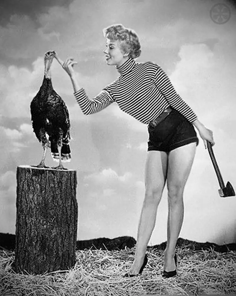 vintage thanksgiving pin-up girl