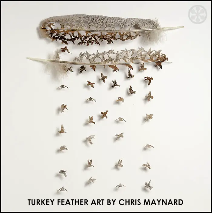 chris-maynard-turkey-feather-art-if-its-hip-its-here