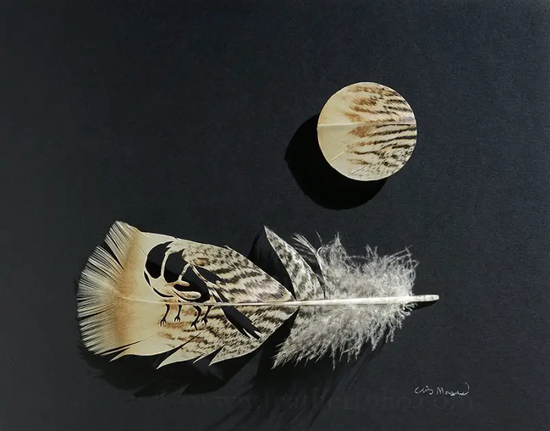 turkey feather art