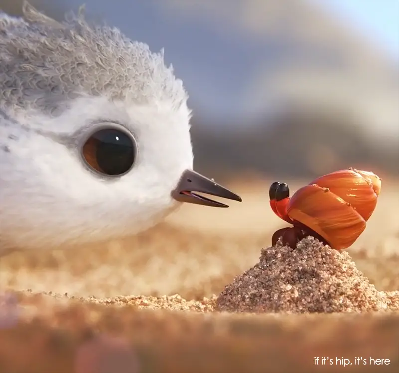 stills from pixar's piper