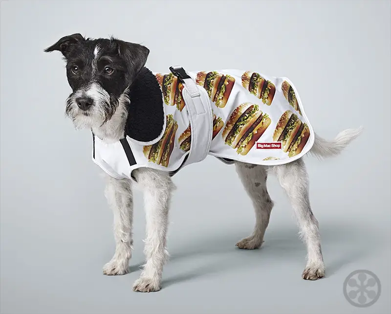 big mac dog coat