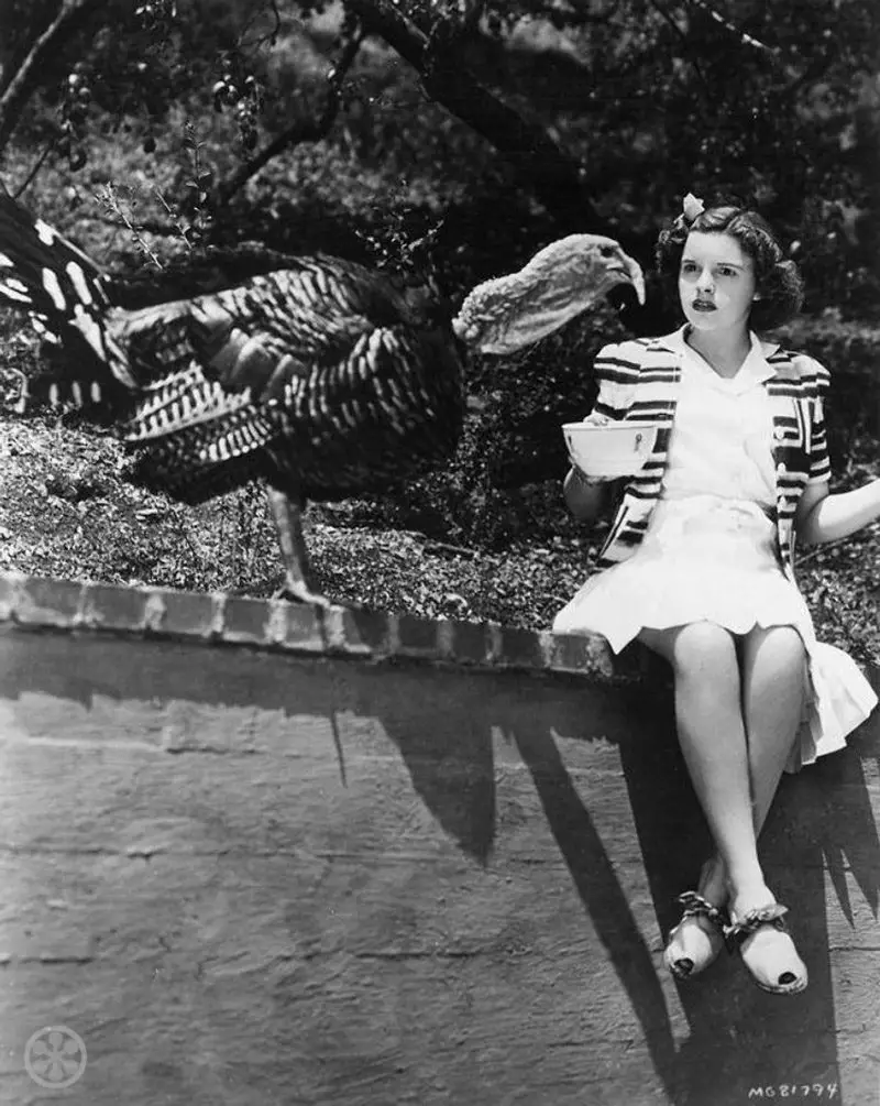 Judy Garland with live Turkey