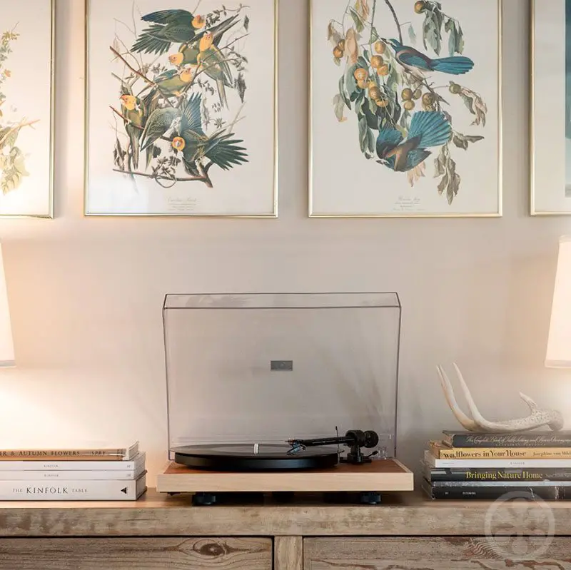 leather and wood turntables