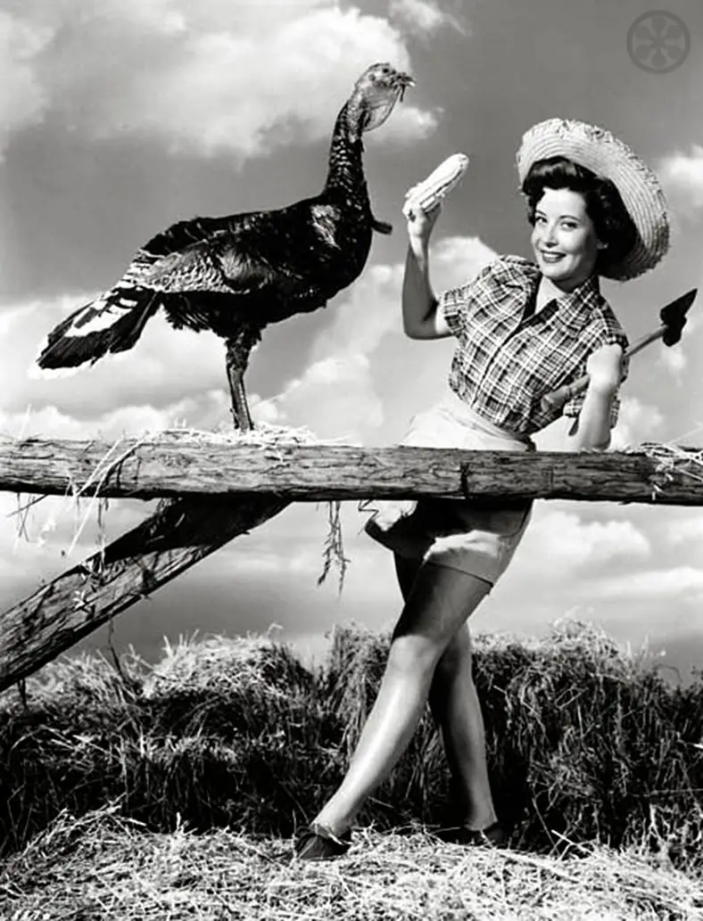 vintage Hollywood Thanksgiving photo actress gloria dehaven