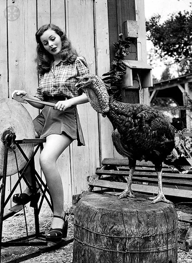 Jeanne Crain vintage Hollywood Thanksgiving photo