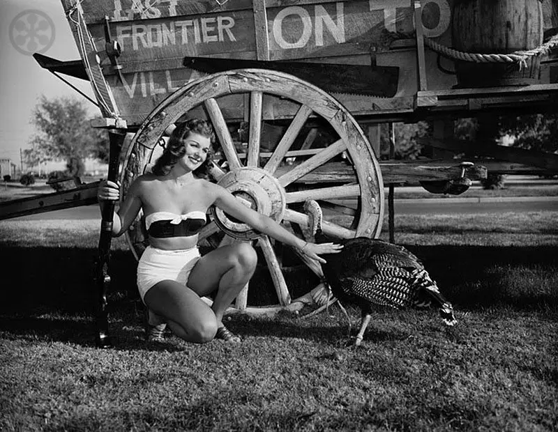 vintage thanksgiving pin-up