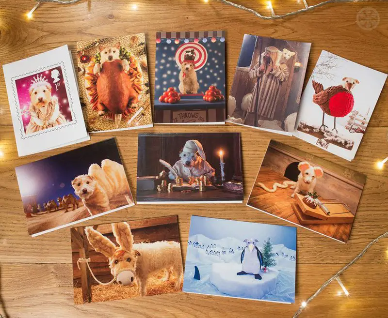 Christmas Dog Greeting Cards