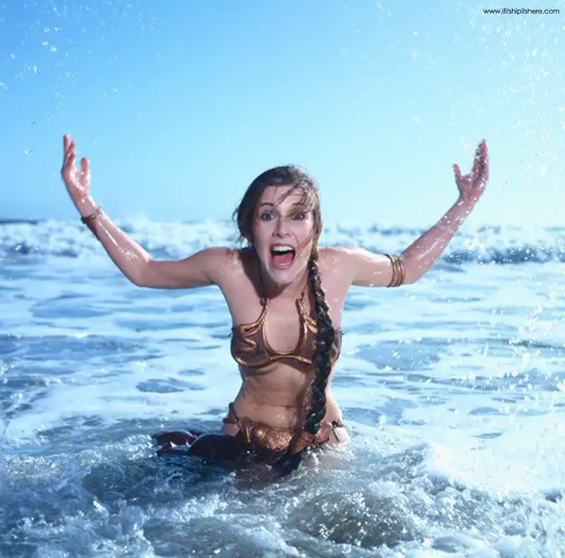 carrie fisher star wars bikini aaron rappoport