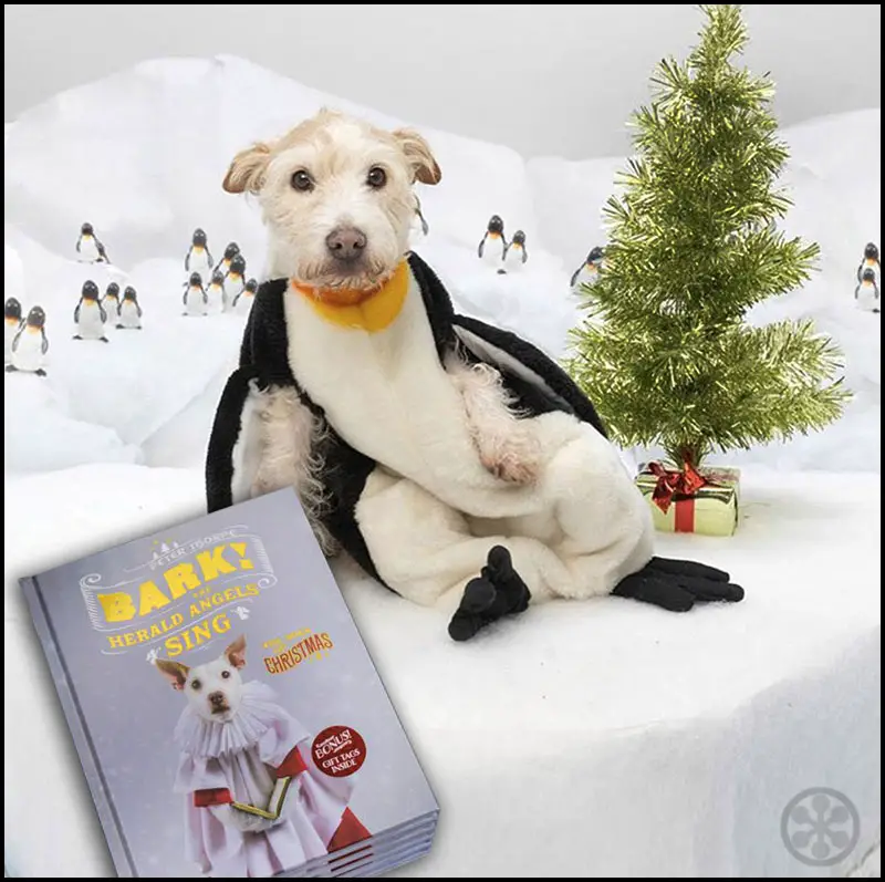bark! the herald angels sing book with dogs