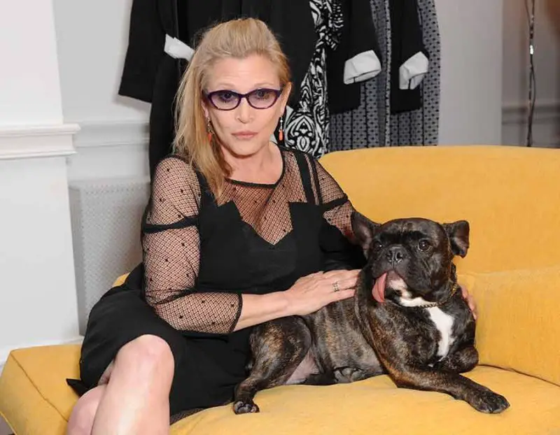 carrie fisher and her dog