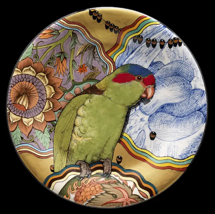 lorikeet plate