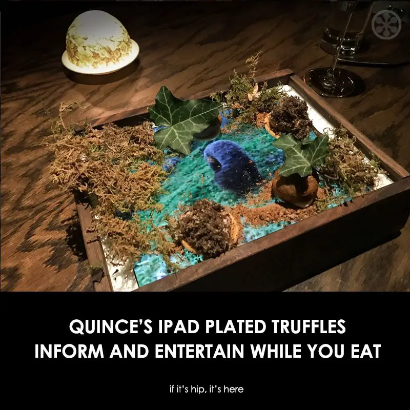 Quince iPad plated truffles