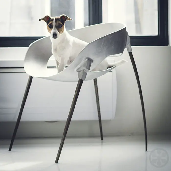 Sputnik Chair by Harold Sanguoard