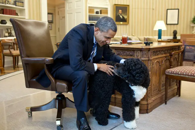 President Obama with Bo