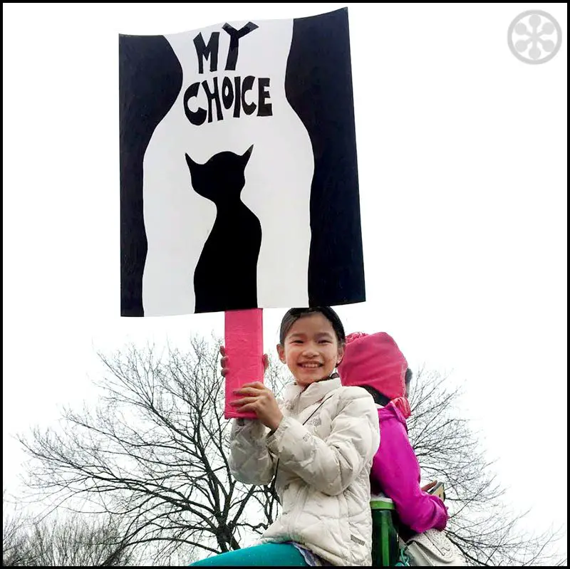 Collection of Women's March Signs