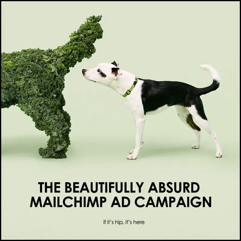 mailchimp ad campaign by Droga 5