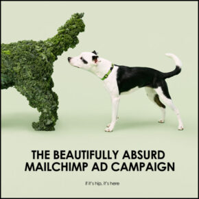 Beautifully Absurd MailChimp Campaign Breaks