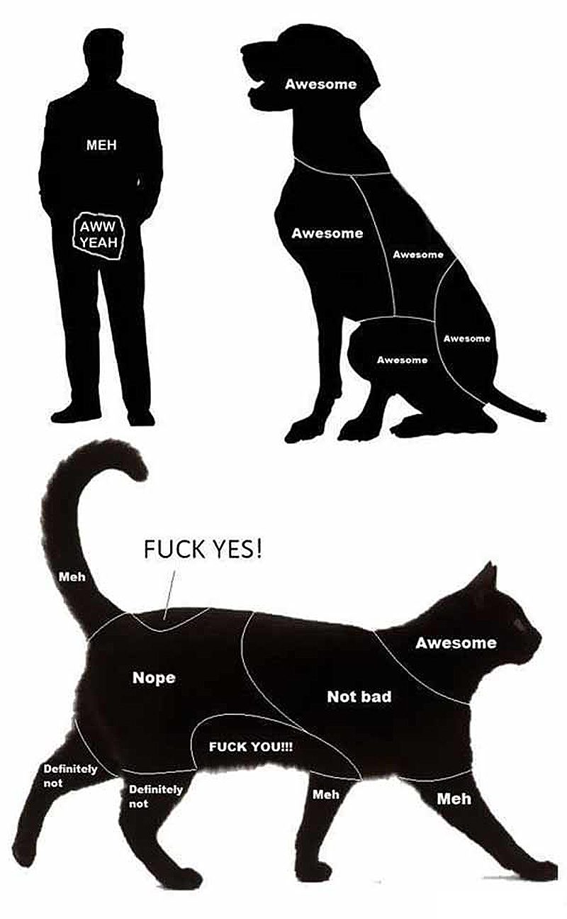 petting chart