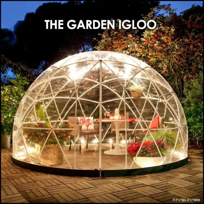 Read more about the article Get Your Own Garden Igloo & Stay Out Of Mine!