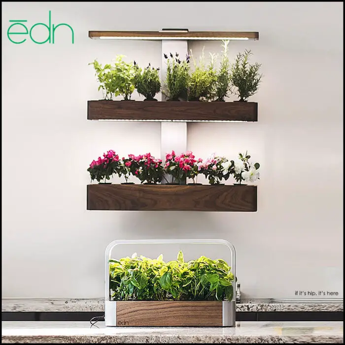 indoor gardens by edn