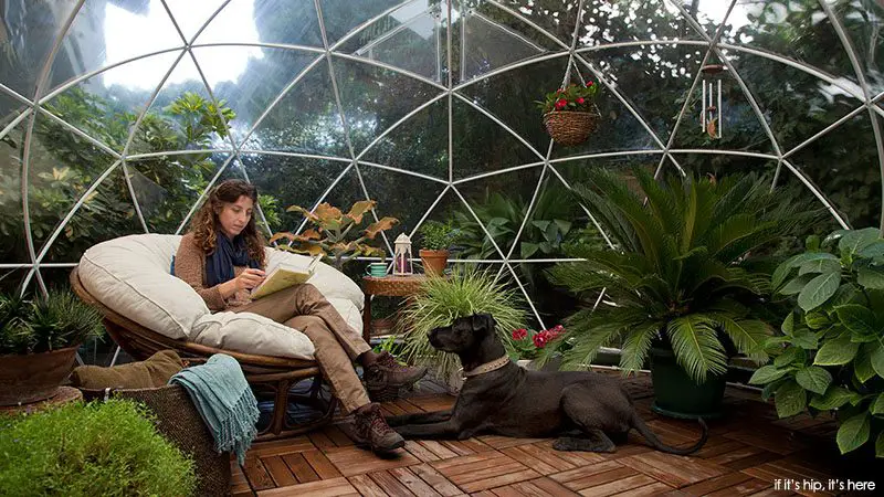 clear domed tent